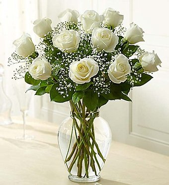 ONE DOZEN WHITE ROSES