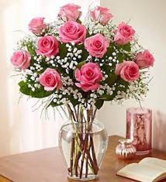 ONE DOZEN PINK ROSES