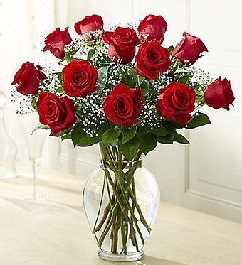A PERFECT RED DOZEN