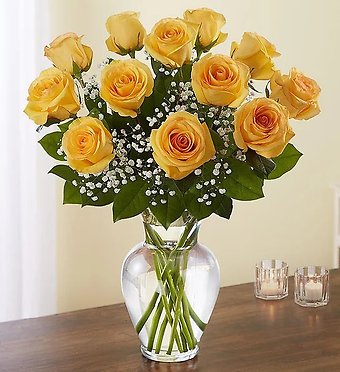 ONE DOZEN YELLOW ROSES